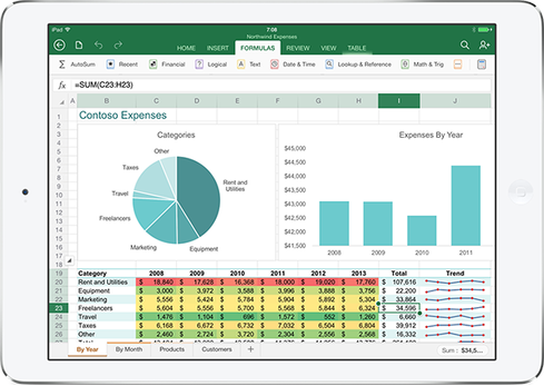 Microsoft Excel on an iPad